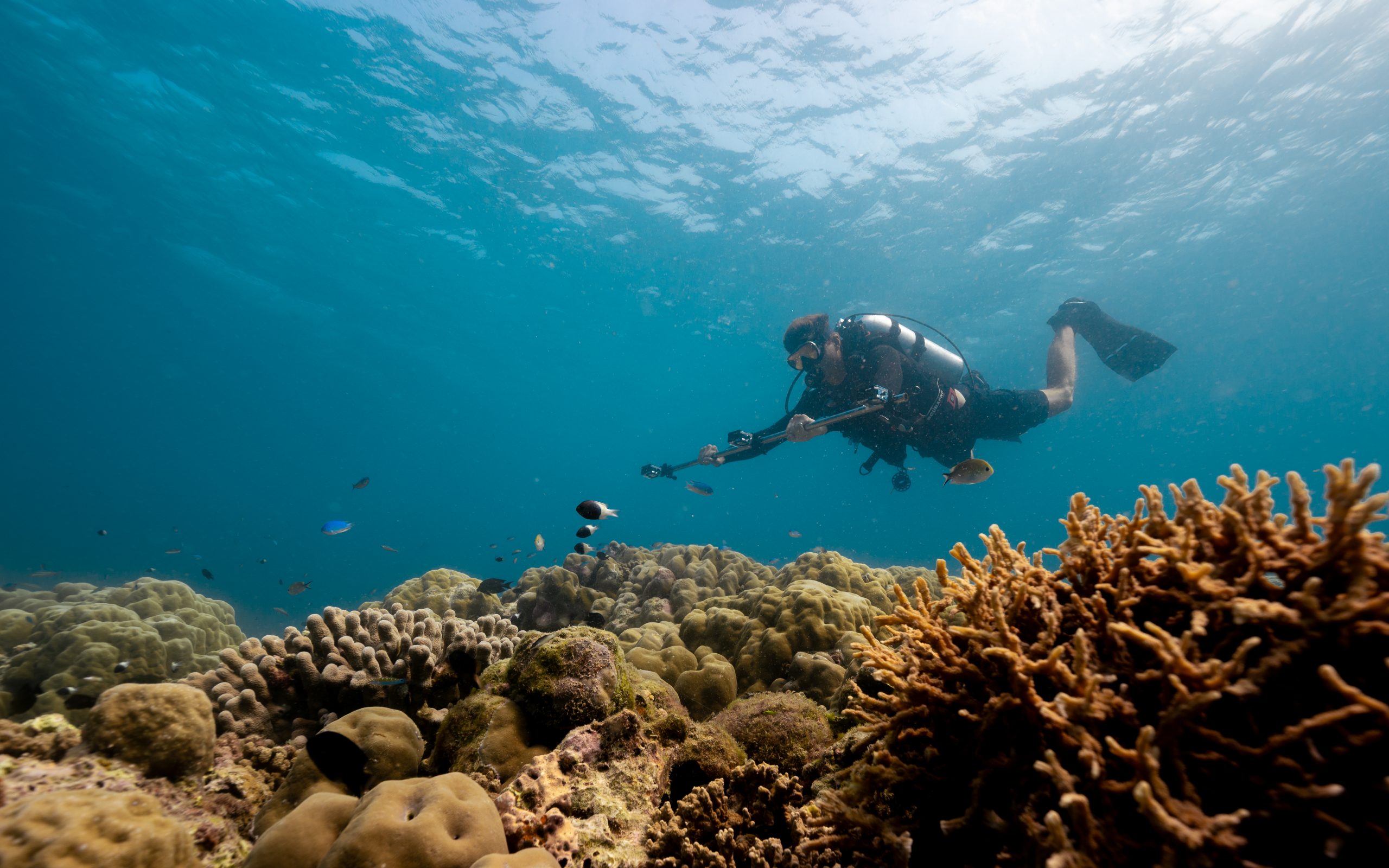 Six Senses Kanuhura launches world’s first resort-led 3D Coral Census