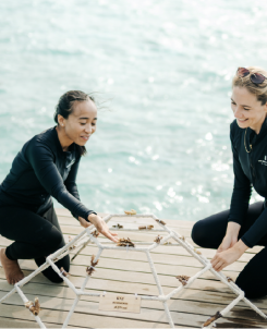 Screenshot 2026 02 04 at 08.01.03