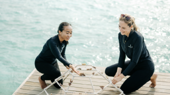 Screenshot 2026 02 04 at 08.01.03