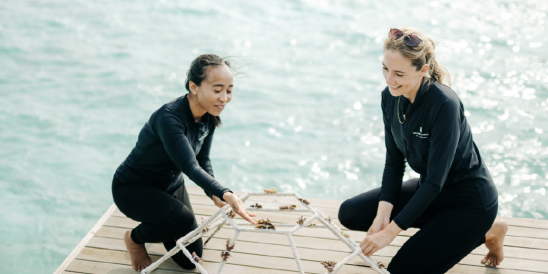 Screenshot 2026 02 04 at 08.01.03