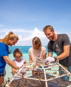 Sheraton Maldives Full Moon Resort & Spa Family Coral Planting