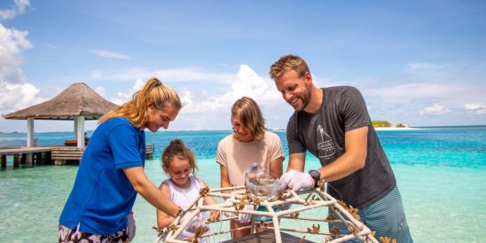 Sheraton Maldives Full Moon Resort & Spa Family Coral Planting