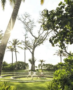 The Ritz Carlton Maldives, Fari Islands Experiences Sunrise Yoga