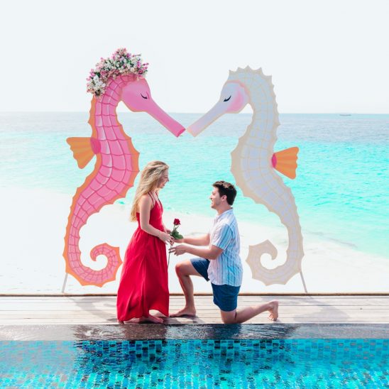 Valentine's Day decoration