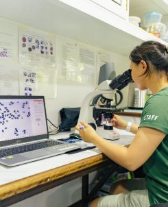 Vet Bloodwork1 MTRC By Anoof Junaidh