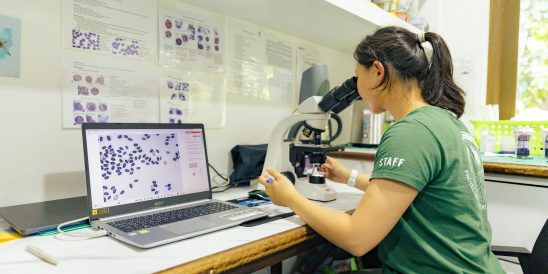 Vet Bloodwork1 MTRC By Anoof Junaidh