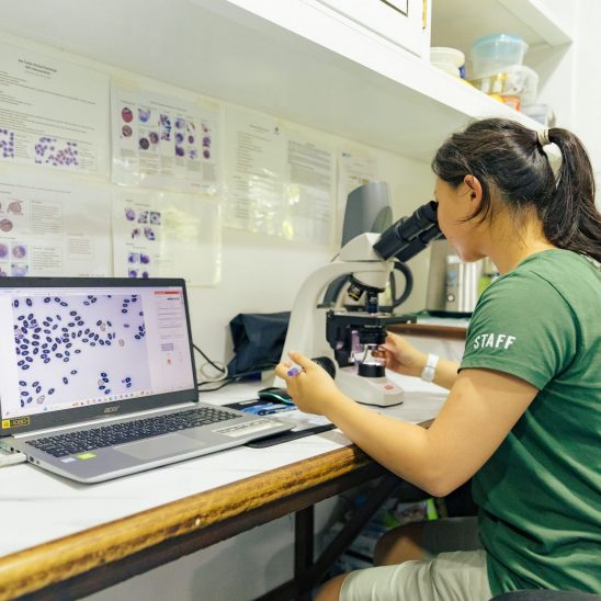Vet Bloodwork1 MTRC By Anoof Junaidh