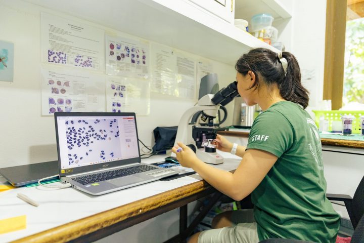 Vet Bloodwork1 MTRC By Anoof Junaidh