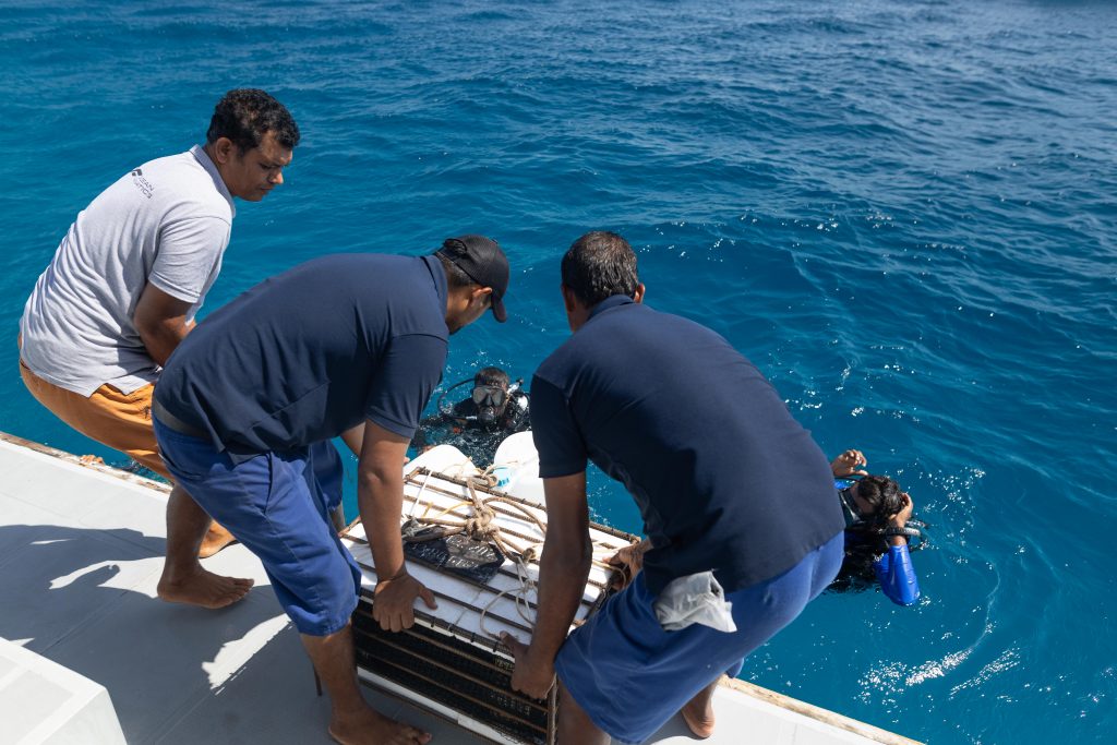 662483 Team Members at NH Collection Maldives Reethi Resort Placing New Cage of Planteray Rum to Begin the Year Long Undersea Ageing Process f39dba original