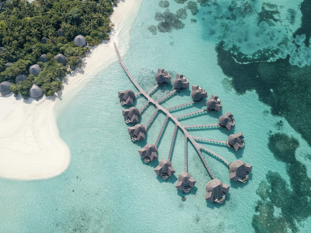 Aerial Coco Palm Dhuni Kolhu