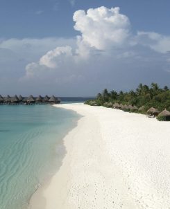 Coco Palm Dhuni Kolhu