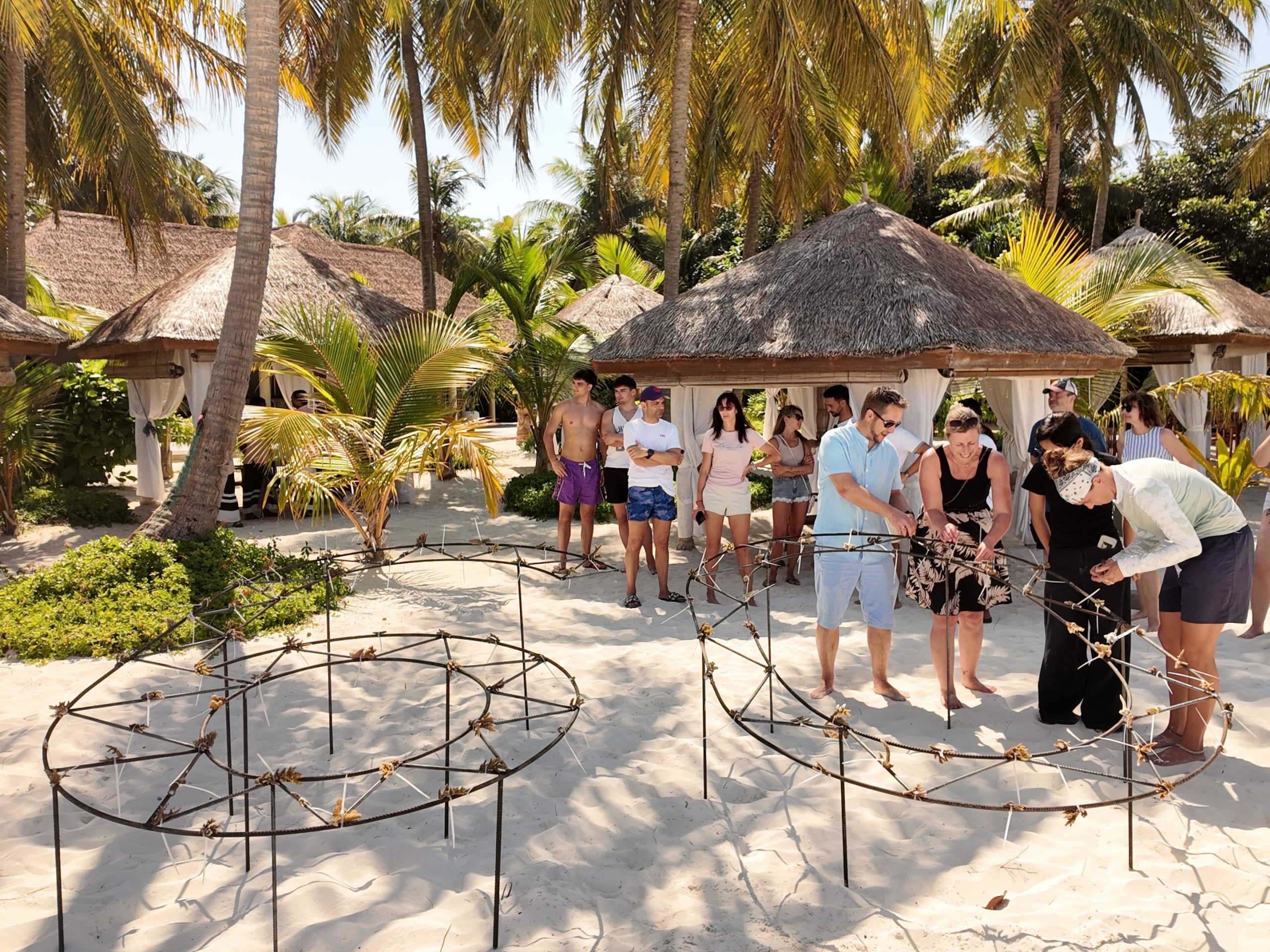 Reethi Faru Resort marks Earth Hour 2026 with sustainability initiatives