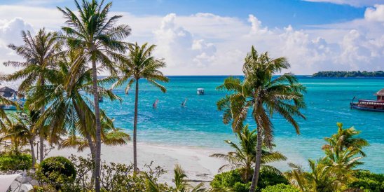 Kandooma Main Beadh Area Landscape