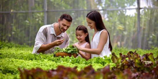 Le Meridien Maldives Resort and Spa Family at the Greenhouse