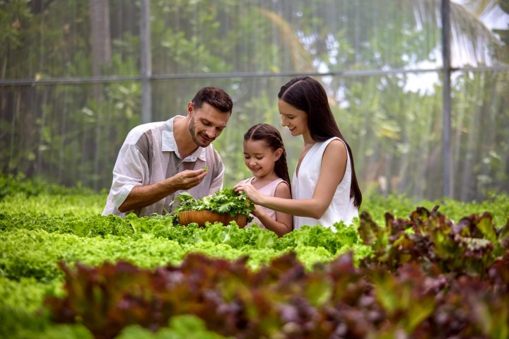 Le Meridien Maldives Resort and Spa Family at the Greenhouse