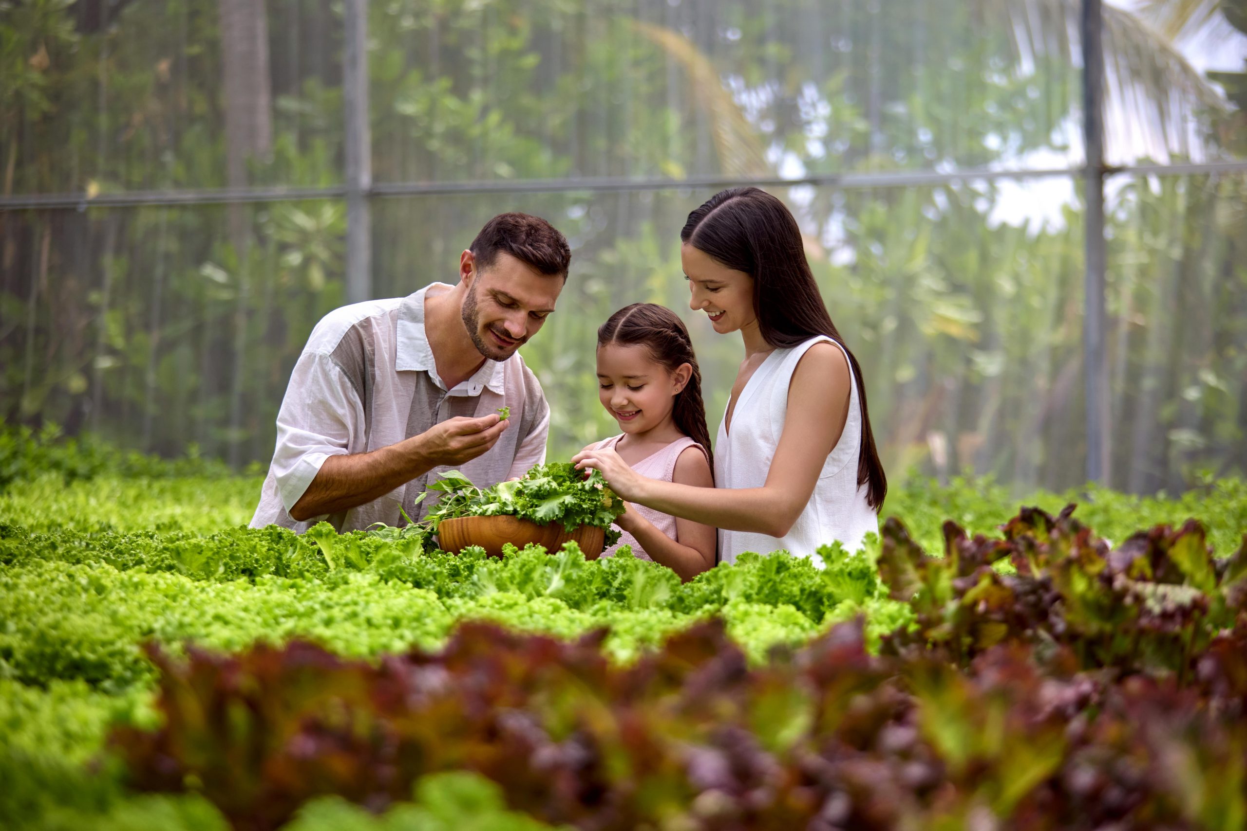 Le Méridien Maldives blends culture, conservation and contemporary island living