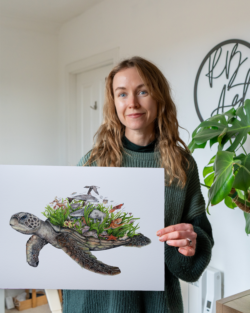 Meadow Turtle Photo Comp