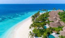 Milaidhoo Island maldives General