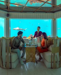 OZEN LIFE MAADHOO Lifestyle M6m 7 (exp 11.2029) (2)