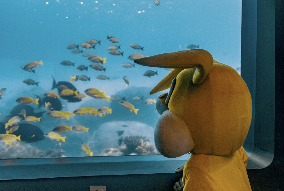 Screenshot 2026 03 11 at 16.40.02