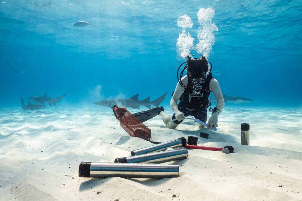 Six Senses Kanuhura COASTS Project1