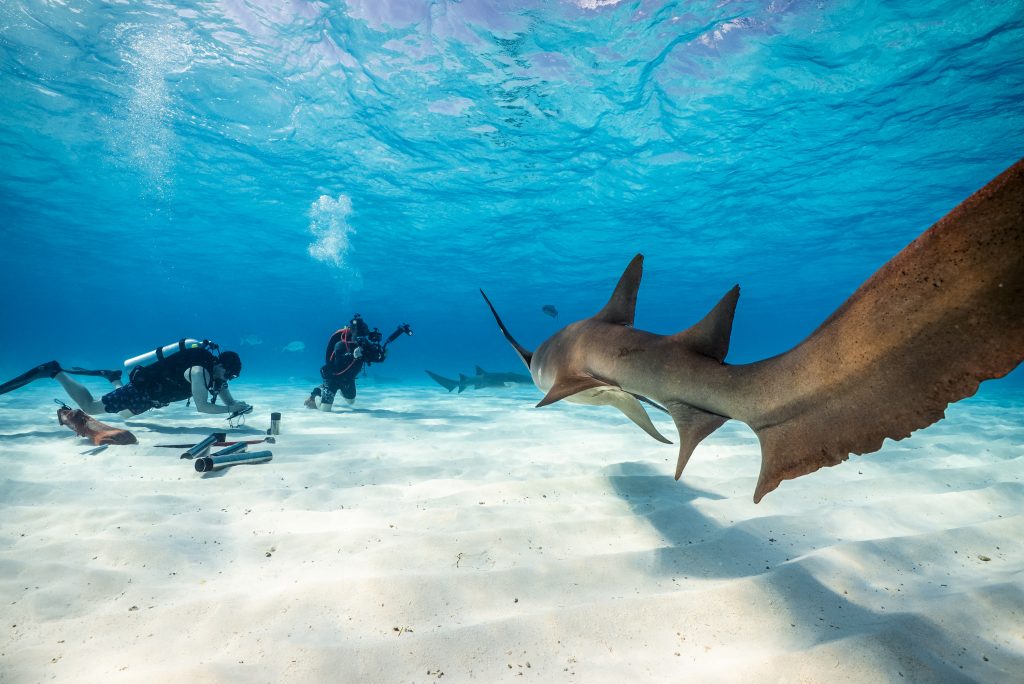 Six Senses Kanuhura COASTS Project3