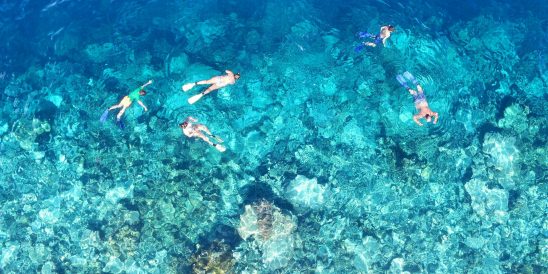 DCIM100MEDIADJI 0123.JPG