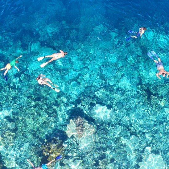 DCIM100MEDIADJI 0123.JPG