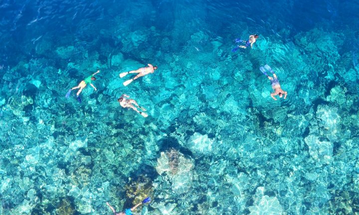 DCIM100MEDIADJI 0123.JPG