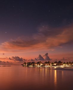 TNM Island Twilight Large