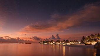 TNM Island Twilight Large