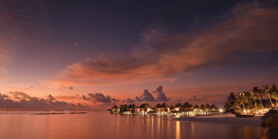 TNM Island Twilight Large