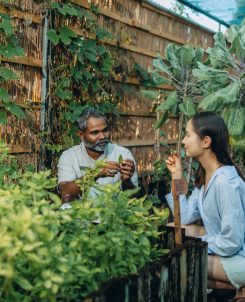The Westin Maldives Miriandhoo Resort GT 2.0 Island Tour Chef Garden
