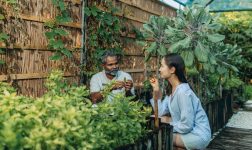 The Westin Maldives Miriandhoo Resort GT 2.0 Island Tour Chef Garden