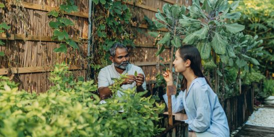 The Westin Maldives Miriandhoo Resort GT 2.0 Island Tour Chef Garden