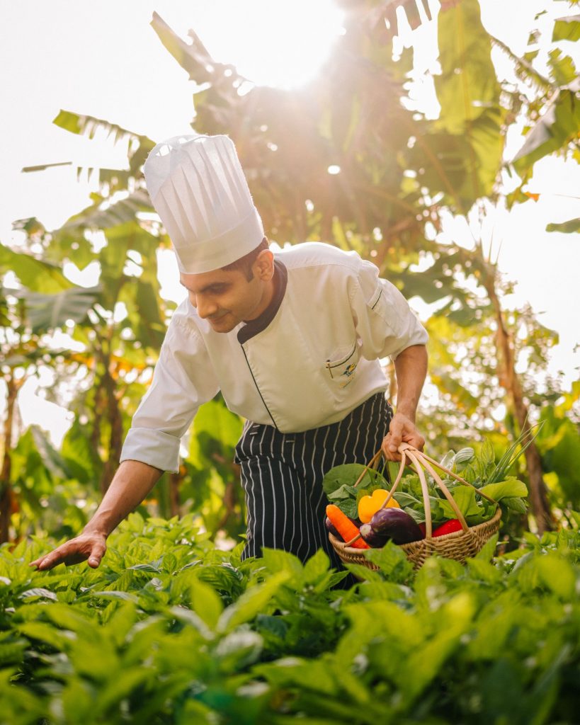 Villa Park Lifestyle ZERO Chef at Work in Garden Large