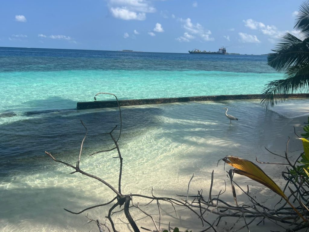 WhatsApp Image 2026 03 01 at 10.10.51