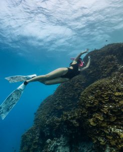 Women s Day Snorkel (2)