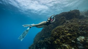 Women s Day Snorkel (2)