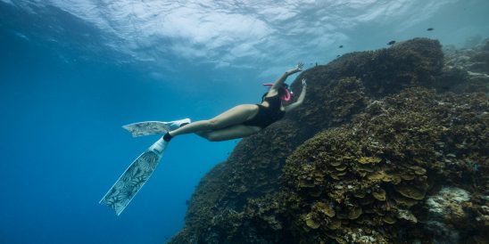 Women s Day Snorkel (2)