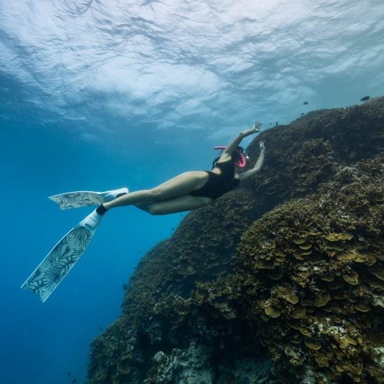 Women s Day Snorkel (2)