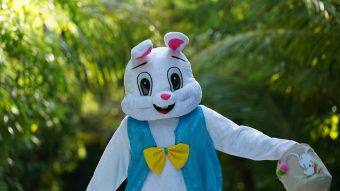 Batch MLEAI Easter Bunny