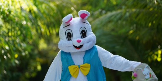 Batch MLEAI Easter Bunny