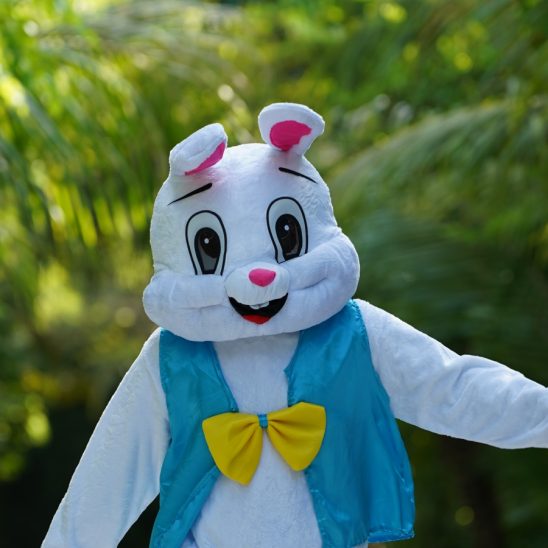 Batch MLEAI Easter Bunny