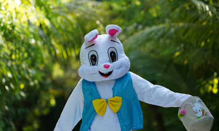 Batch MLEAI Easter Bunny