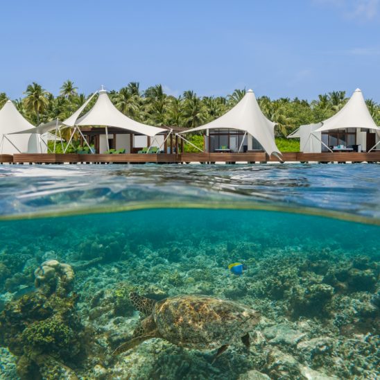 W Maldives