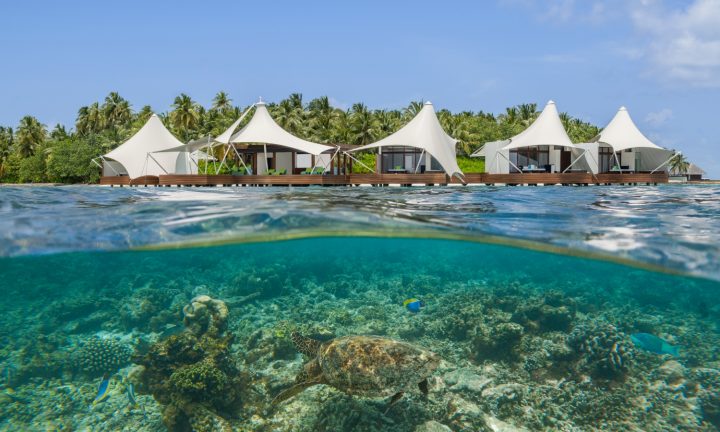 W Maldives