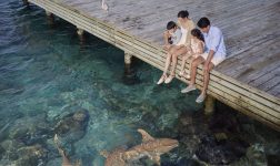 Cirm coral bar and lounge