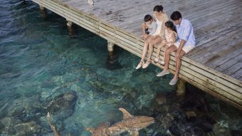 Cirm coral bar and lounge