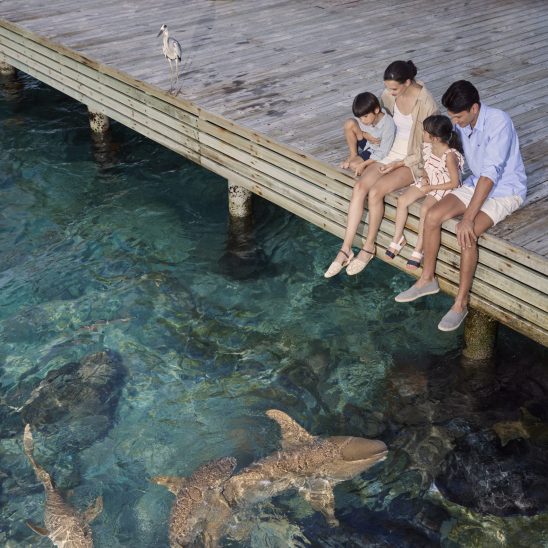 Cirm coral bar and lounge